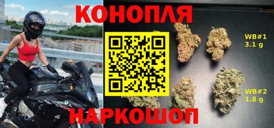 сатива Краснознаменск