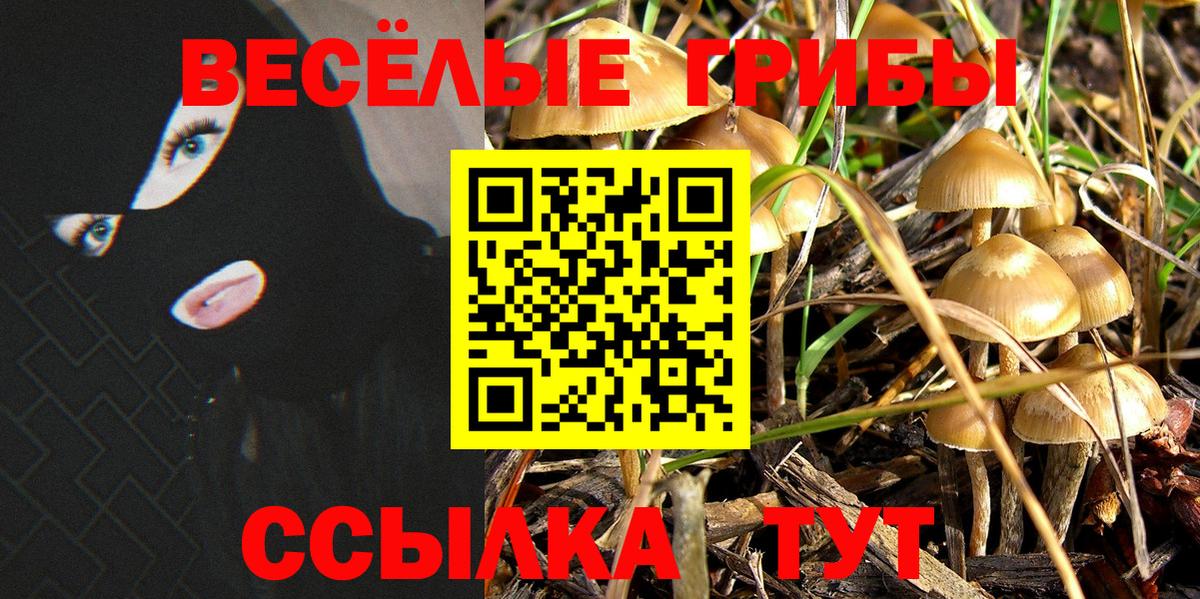 Галлюциногенные грибы мухоморы  Галлюциногенные грибы ЛСД  Вход с VPN  Арсеньев 